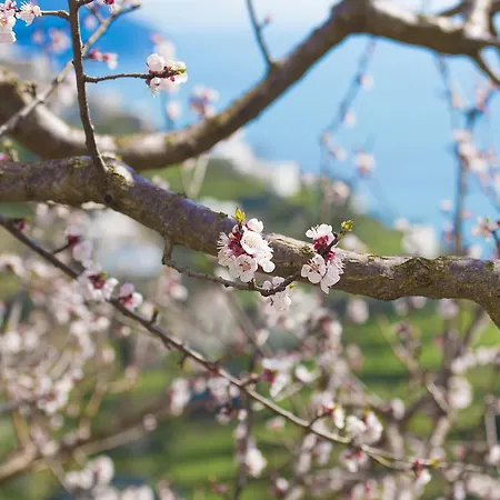 Апартаменти Casa Pina